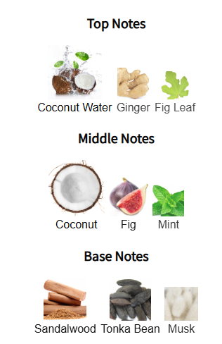 Hawas Tropical by Rasasi